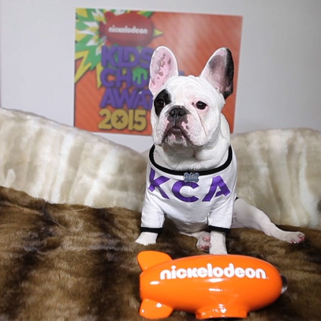 KCA15_PKG-001_Pierre_Intro_1x1